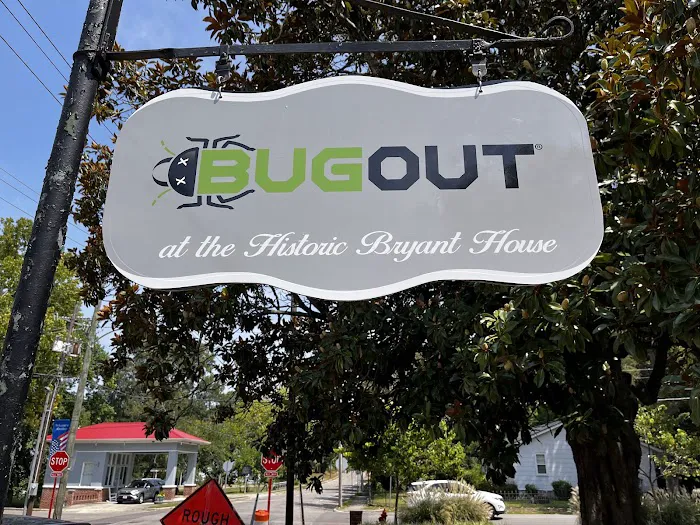 Bug Out Picture 4