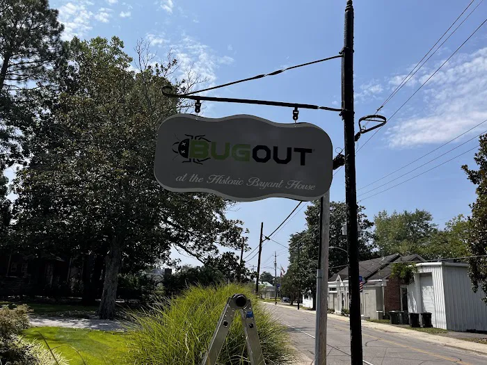 Bug Out Picture 7
