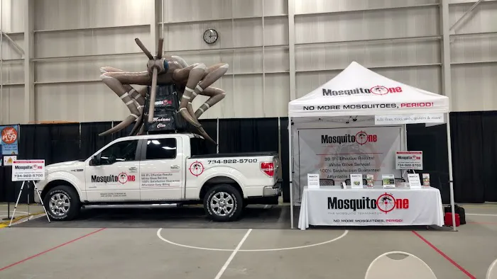 Mosquito One Picture 4