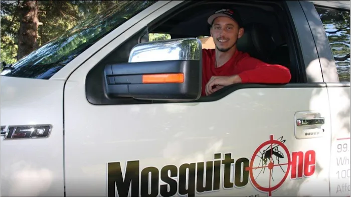 Mosquito One Picture 6
