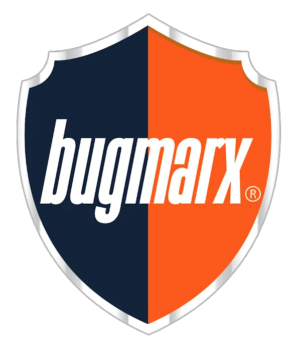 Bugmarx Picture 2
