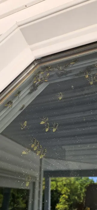 Honorable Pest Control Picture 3