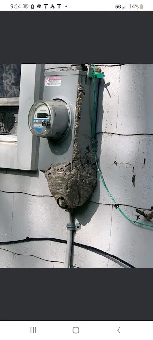 Solidified Pest Control Picture 5