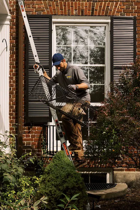 Community Pest Solutions Picture 9