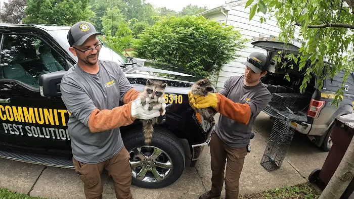Community Pest Solutions Picture 6