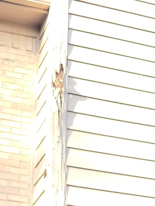 proof. Pest Control Picture 4