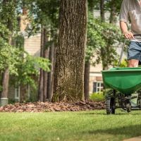 Elegant Greens Lawn Care & Snow Removal ico