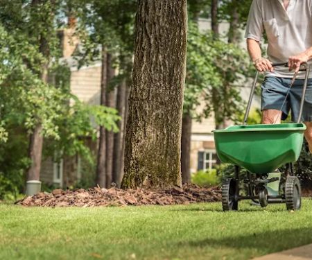 Elegant Greens Lawn Care & Snow Removal