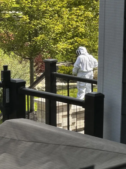 Blessed Pest Solutions Picture 8