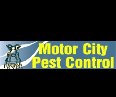 Motor City Pest Control