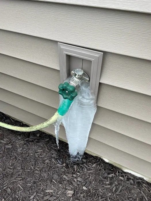 Greenix Pest Control Picture 10