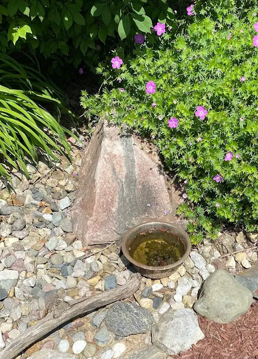 Apex Pest Control Picture 1