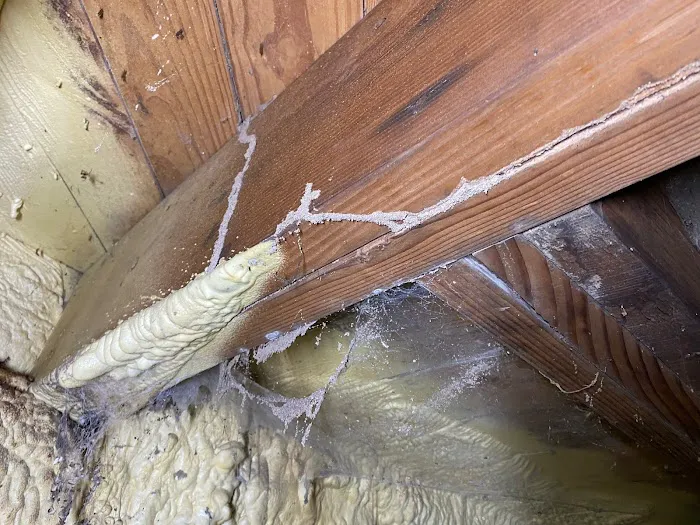 Apex Pest Control Picture 9