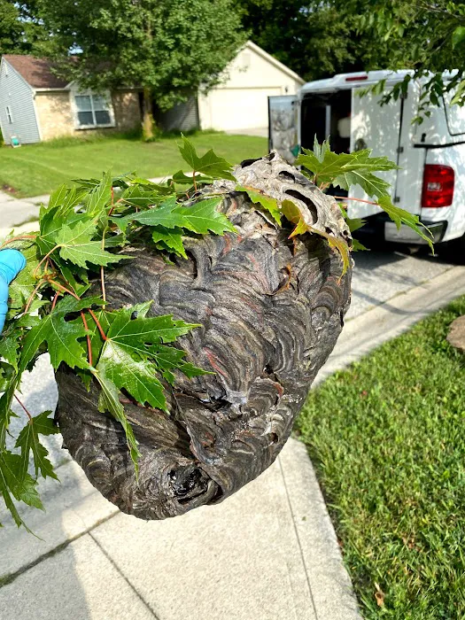 Apex Pest Control Picture 10