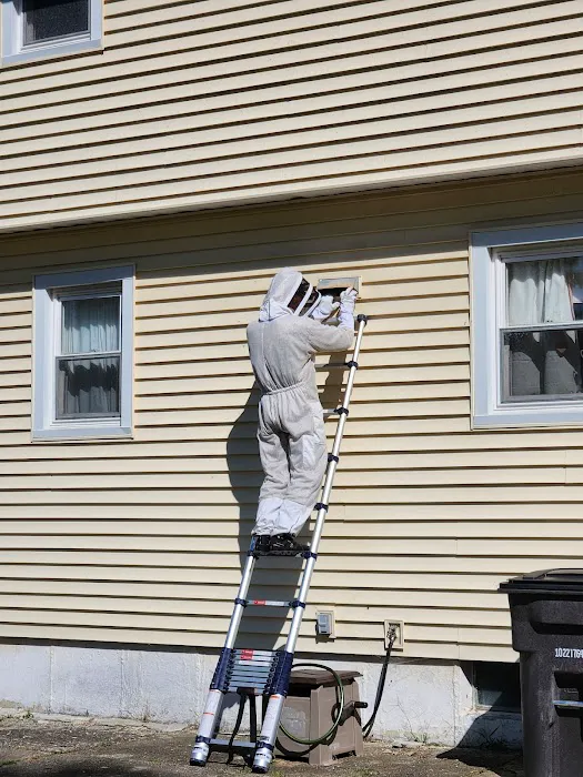 Apex Pest Control Picture 4