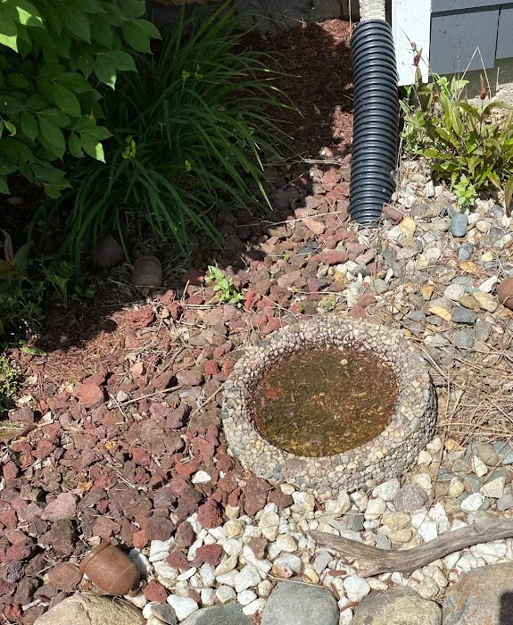 Apex Pest Control Picture 2