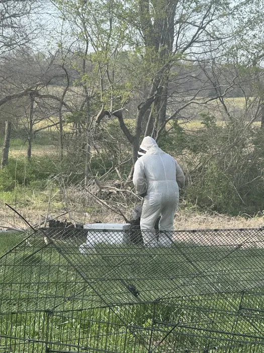 Jacob’s Beekeeping & Removal LLC Picture 9