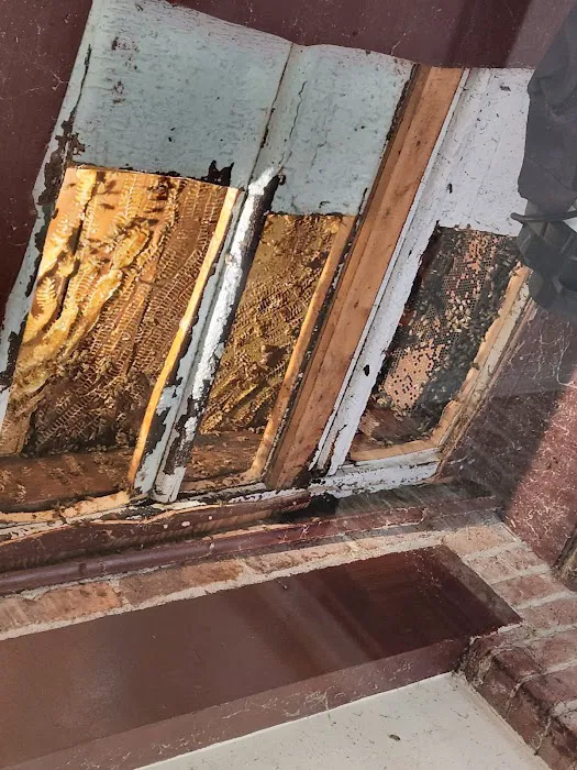 Jacob’s Beekeeping & Removal LLC Picture 10