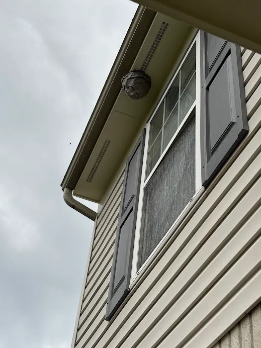Jacob’s Beekeeping & Removal LLC Picture 7