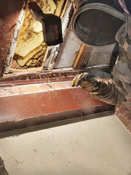 Jacob’s Beekeeping & Removal LLC Picture 8