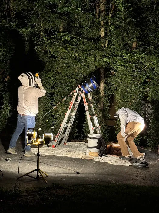 Jacob’s Beekeeping & Removal LLC Picture 1
