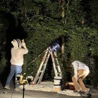 Jacob’s Beekeeping & Removal LLC ico