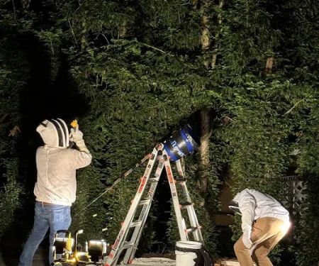 Jacob’s Beekeeping & Removal LLC