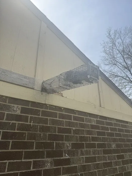 Varment Guard Wildlife Services Picture 5
