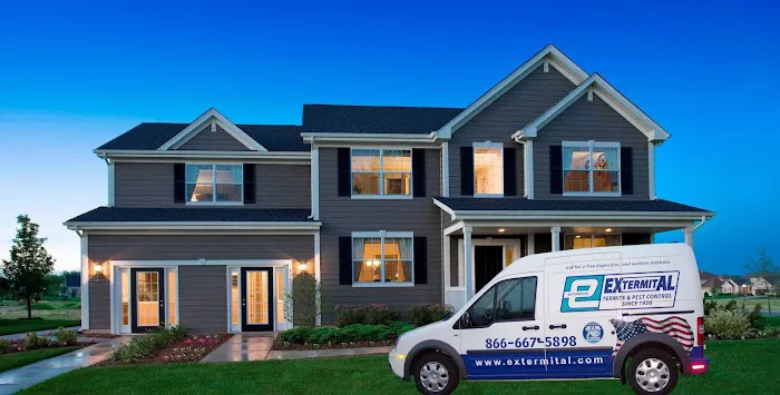 Extermital Termite & Pest Control Picture 1