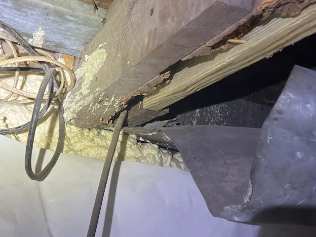 EcoPro Termite & Pest, LLC Picture 8