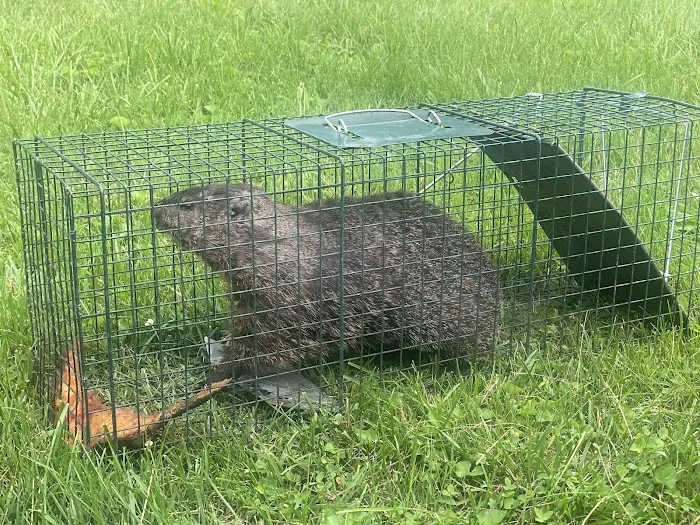 Go2-Pros Pest Control Picture 10