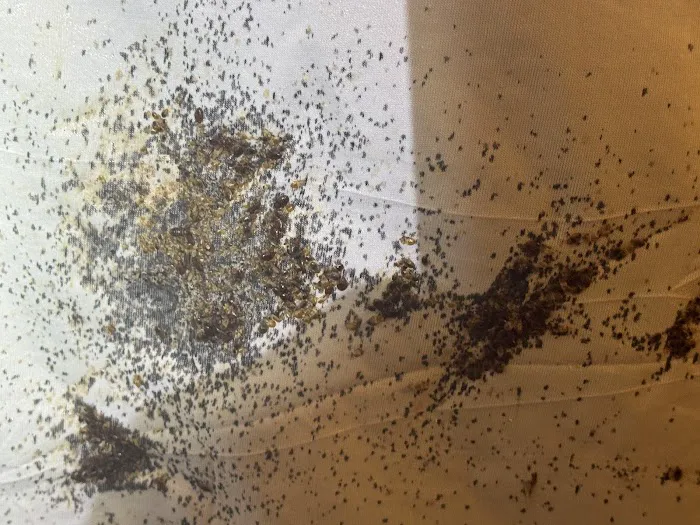Dayton Pest Control Picture 7