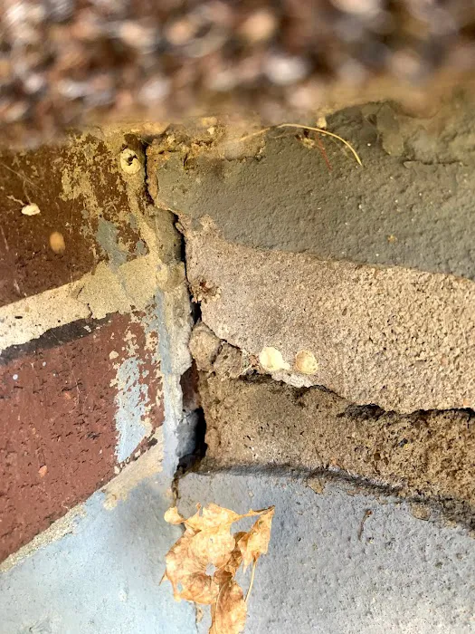 Dayton Pest Control Picture 9