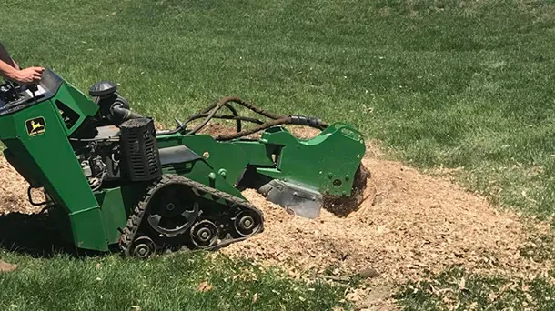 Lawn Plus LLC Picture 10