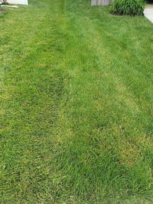 Hometown Turf Picture 6
