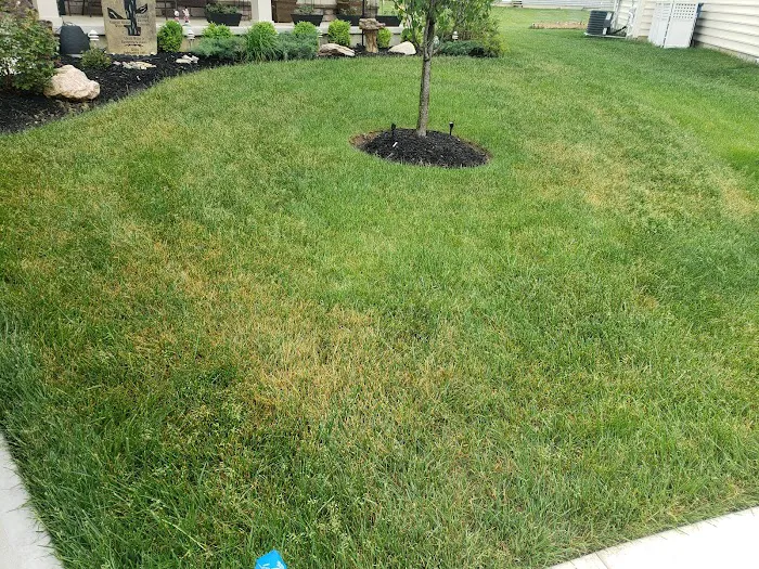 Hometown Turf Picture 3