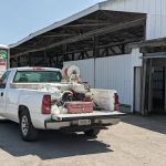 American Pest Professionals