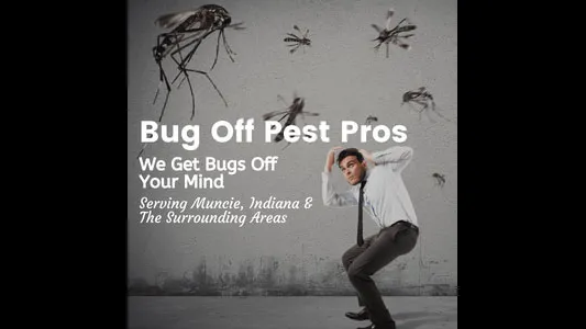 Bug Off Pest Pros Picture 1