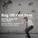 Bug Off Pest Pros
