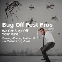 Bug Off Pest Pros ico