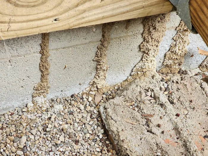 Bug Off Pest Pros Picture 10