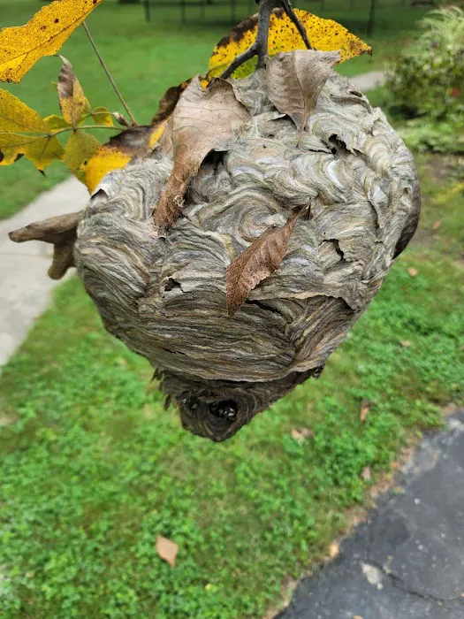 Bug Off Pest Pros Picture 9