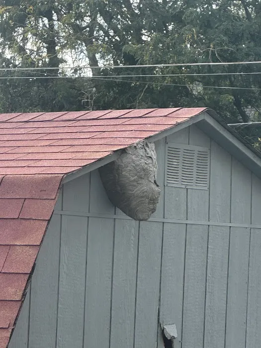 Greenix Pest Control Picture 5