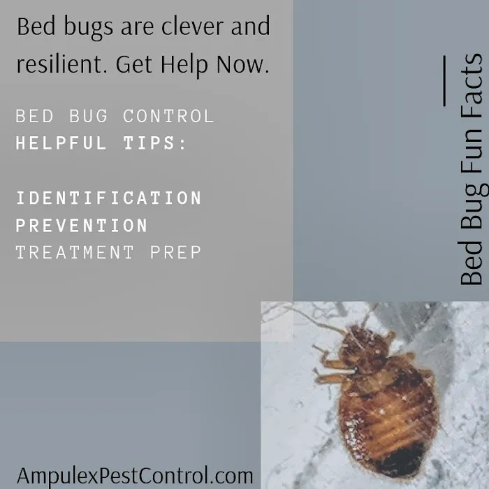Ampulex Environmental Solutions Picture 4