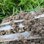 Ampulex Environmental Solutions