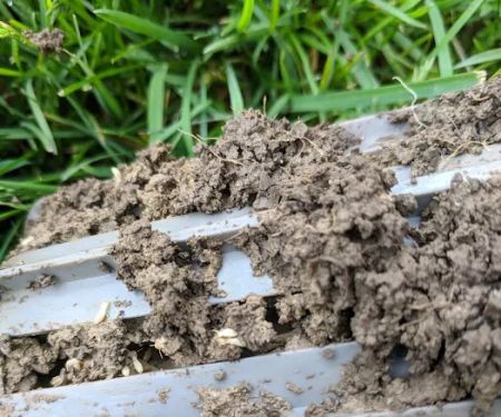 Ampulex Environmental Solutions