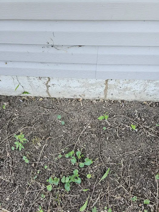 Apking Termite and Pest Control Picture 10