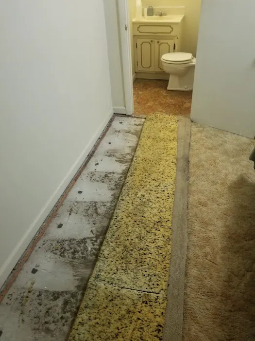 Apking Termite and Pest Control Picture 2