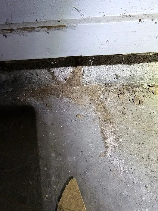 Apking Termite and Pest Control Picture 5