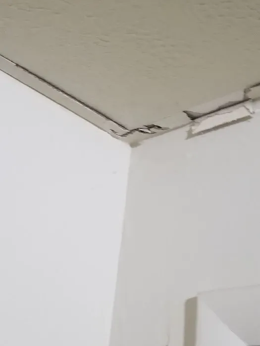 Apking Termite and Pest Control Picture 1